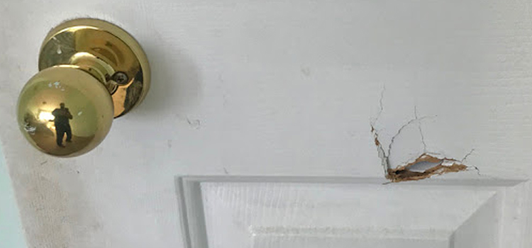 interior door hole repair Phelan